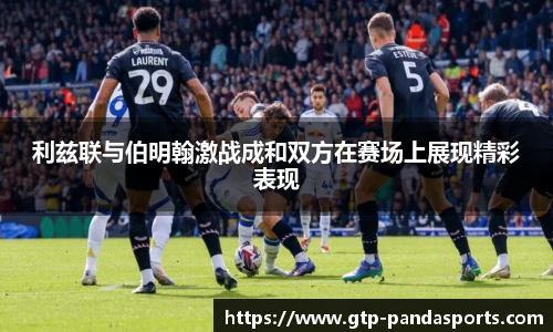 熊猫体育登录入口